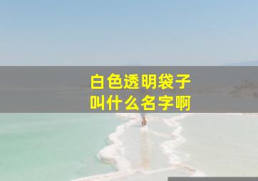 白色透明袋子叫什么名字啊