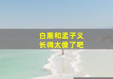 白鹿和孟子义长得太像了吧