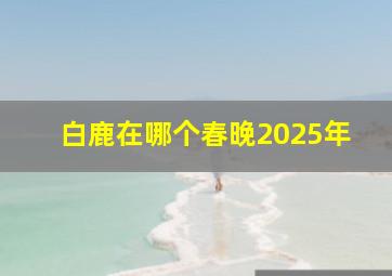 白鹿在哪个春晚2025年