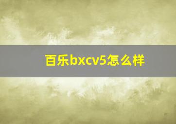 百乐bxcv5怎么样