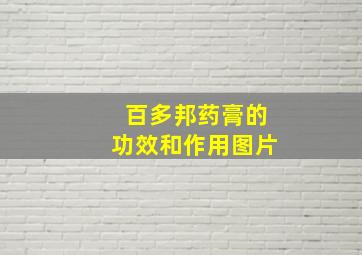 百多邦药膏的功效和作用图片