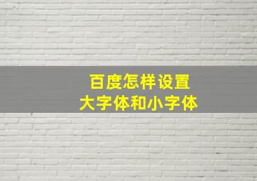 百度怎样设置大字体和小字体