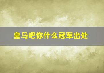 皇马吧你什么冠军出处