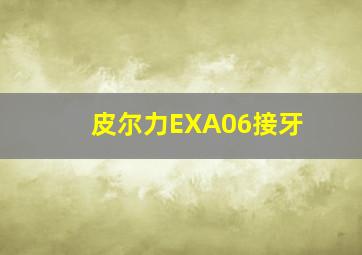 皮尔力EXA06接牙