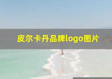 皮尔卡丹品牌logo图片