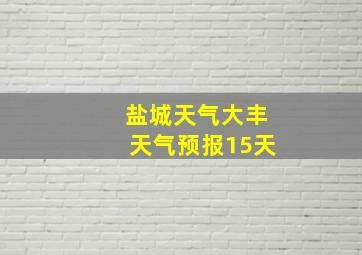 盐城天气大丰天气预报15天