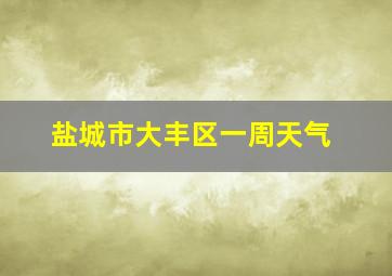 盐城市大丰区一周天气