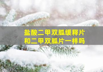 盐酸二甲双胍缓释片和二甲双胍片一样吗