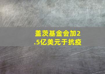 盖茨基金会加2.5亿美元于抗疫