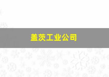 盖茨工业公司