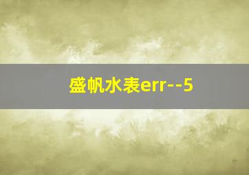 盛帆水表err--5