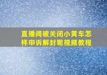 直播间被关闭小黄车怎样申诉解封呢视频教程