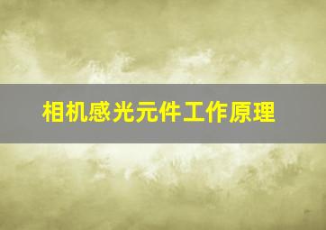 相机感光元件工作原理