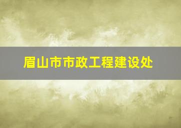 眉山市市政工程建设处