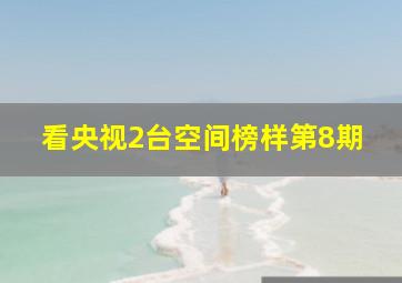 看央视2台空间榜样第8期