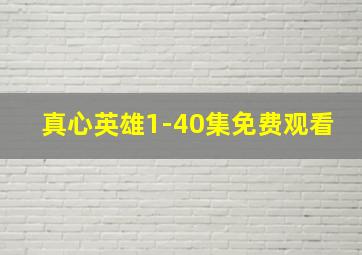 真心英雄1-40集免费观看