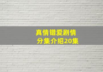 真情错爱剧情分集介绍20集