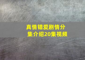 真情错爱剧情分集介绍20集视频