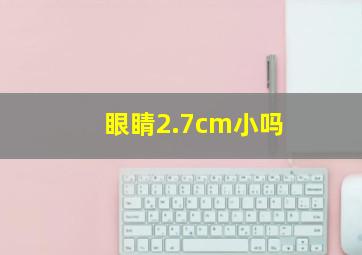 眼睛2.7cm小吗