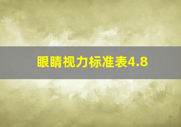 眼睛视力标准表4.8