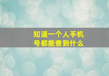 知道一个人手机号都能查到什么