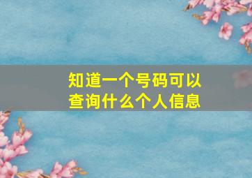 知道一个号码可以查询什么个人信息