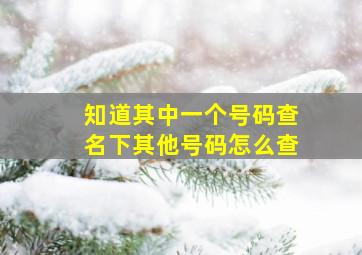 知道其中一个号码查名下其他号码怎么查