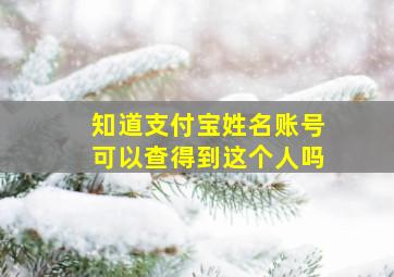 知道支付宝姓名账号可以查得到这个人吗