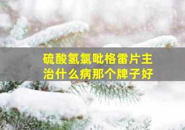 硫酸氢氯吡格雷片主治什么病那个牌子好