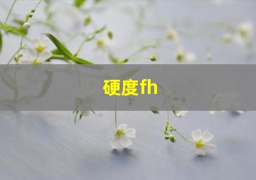 硬度fh