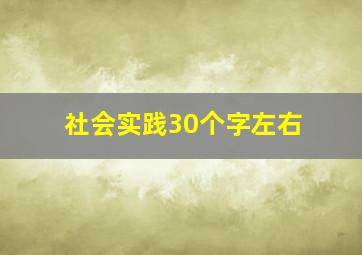 社会实践30个字左右