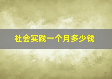 社会实践一个月多少钱