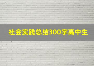 社会实践总结300字高中生