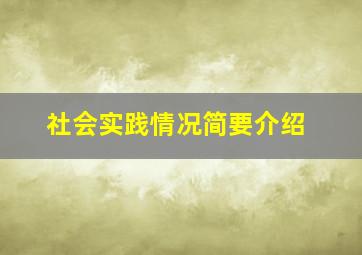 社会实践情况简要介绍