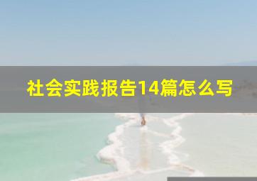 社会实践报告14篇怎么写