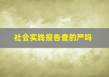 社会实践报告查的严吗