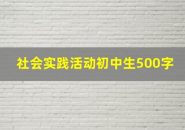 社会实践活动初中生500字