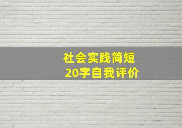 社会实践简短20字自我评价