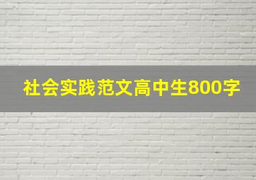 社会实践范文高中生800字