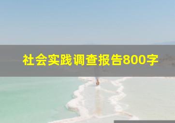 社会实践调查报告800字