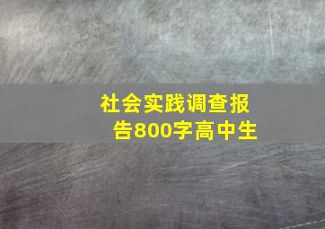 社会实践调查报告800字高中生