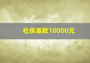 社保基数10000元