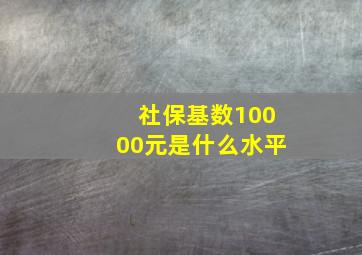 社保基数10000元是什么水平