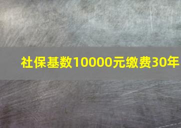 社保基数10000元缴费30年