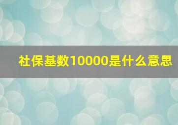 社保基数10000是什么意思