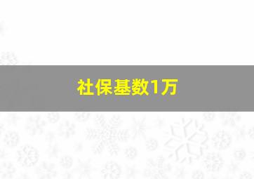 社保基数1万