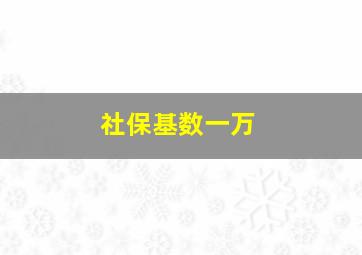 社保基数一万