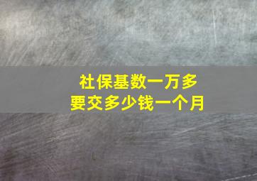 社保基数一万多要交多少钱一个月