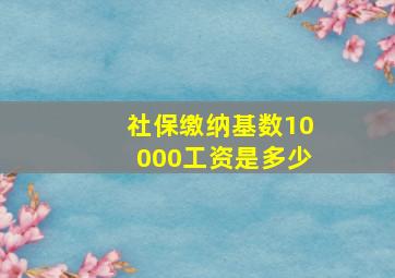 社保缴纳基数10000工资是多少