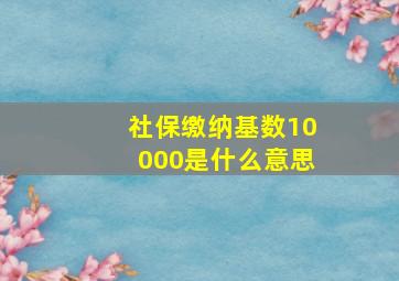 社保缴纳基数10000是什么意思